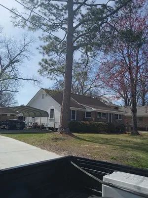 Cooper's Tree Service Logo