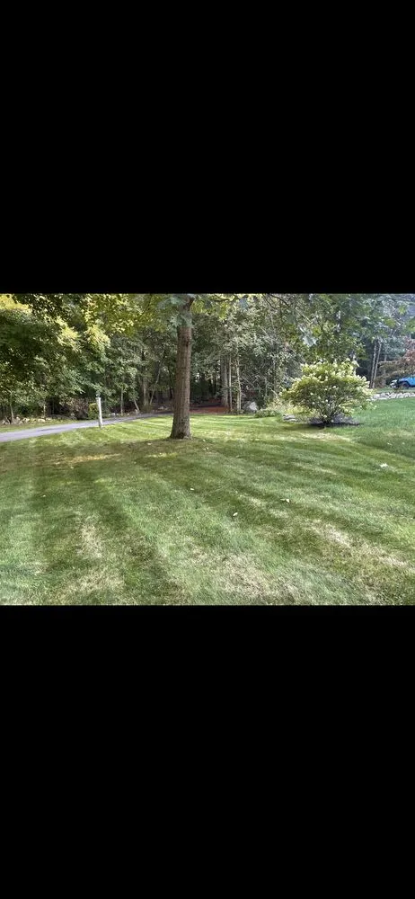 Local outdoor landscaping for outdoor upgrades in Chelmsford, MA by Coop's Clips