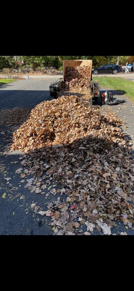 Top-rated lawn care service in Chelmsford, MA - Coop's Clips