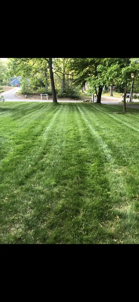 Top-rated garden landscaping experts serving Chelmsford, MA - Coop's Clips