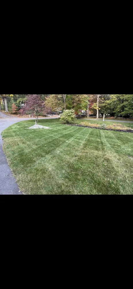 Affordable yard cleanup service for residential properties across Chelmsford, MA - Coop's Clips