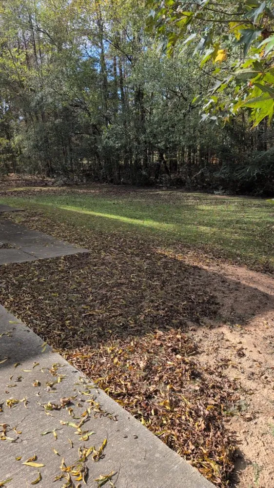 Top-rated lawn mowing service in Calera, AL - Coops Landscape