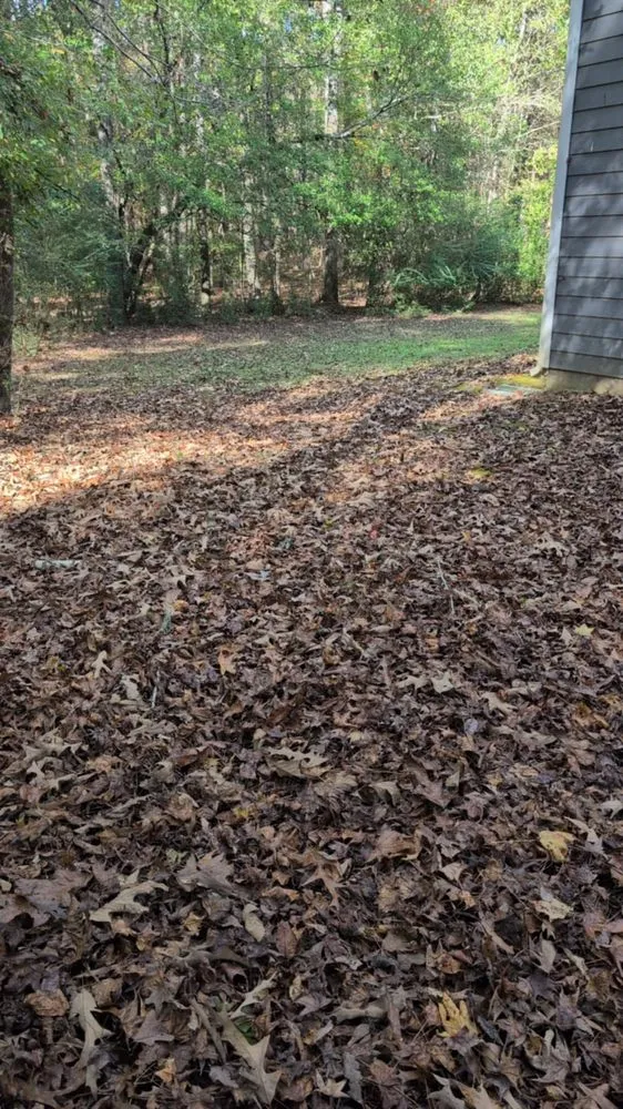 Expert landscape installation for homes in Calera, AL by Coops Landscape