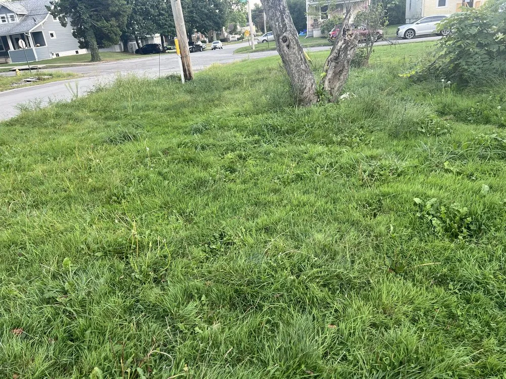 Reliable landscape installation with custom design in Hermitage, PA by Coops Lawn And Garden