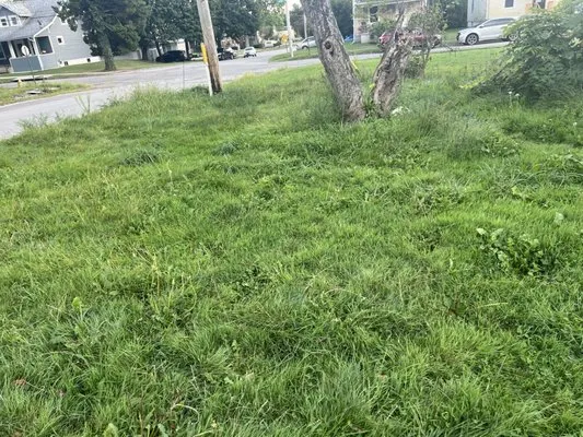 Coops Lawn And Garden