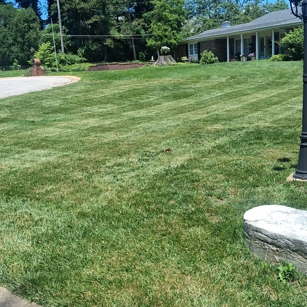 Custom lawn mowing service in Saint Louis, MO - Coops Lawn Care