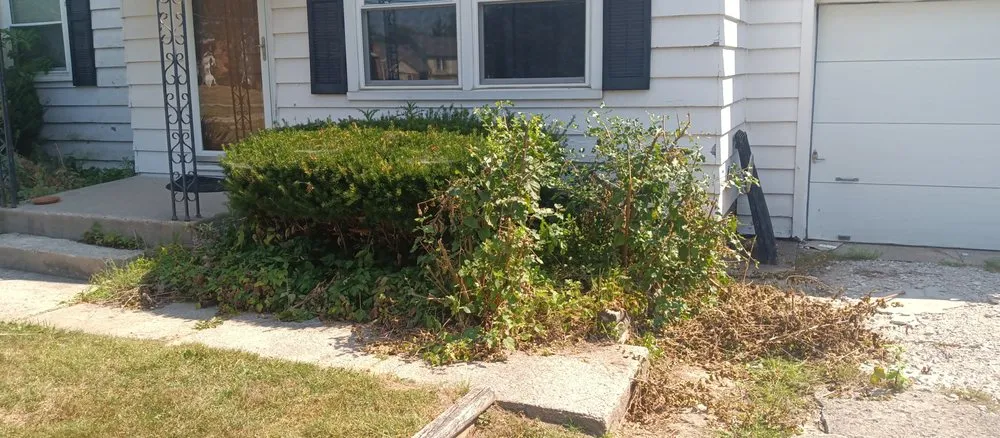 Professional landscape installation in Fort Wayne, IN - Coops-Touch