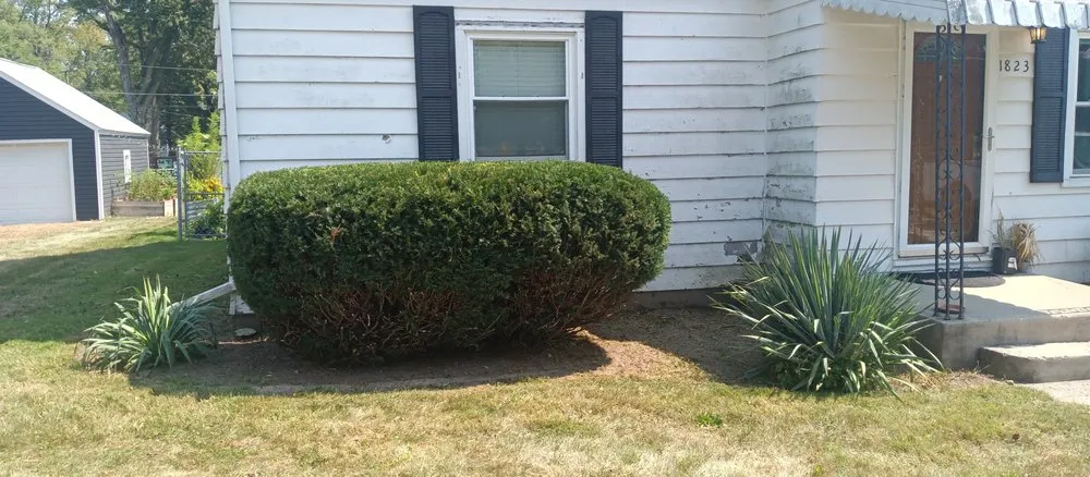 Affordable lawn care service in Fort Wayne, IN - Coops-Touch