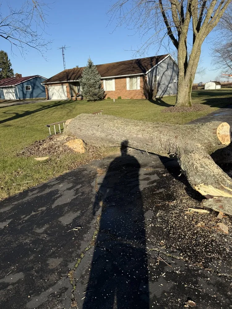 Reliable landscape design experts serving Marion, OH - Coops Tree and Landscape Services