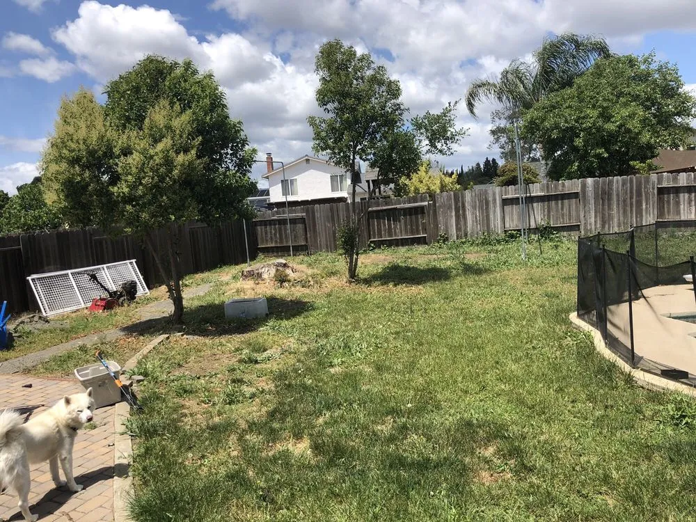 Expert lawn mowing service in Fairfield, CA by Coops Yard Care