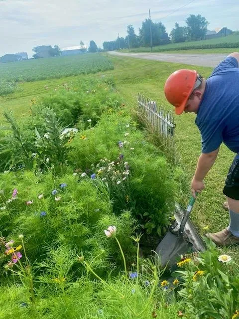 Professional yard cleanup service in Union City, IN by Coop's Yardwork Services