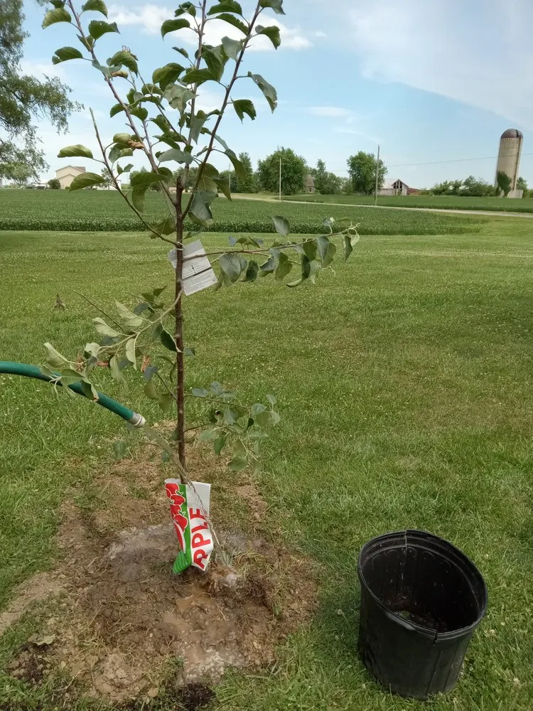 Top-rated garden landscaping experts serving Union City, IN - Coop's Yardwork Services