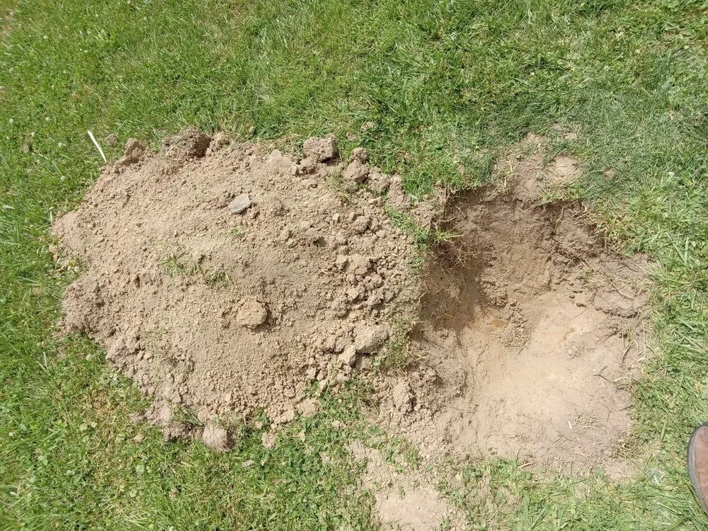 Top-rated yard cleanup service experts serving Union City, IN - Coop's Yardwork Services