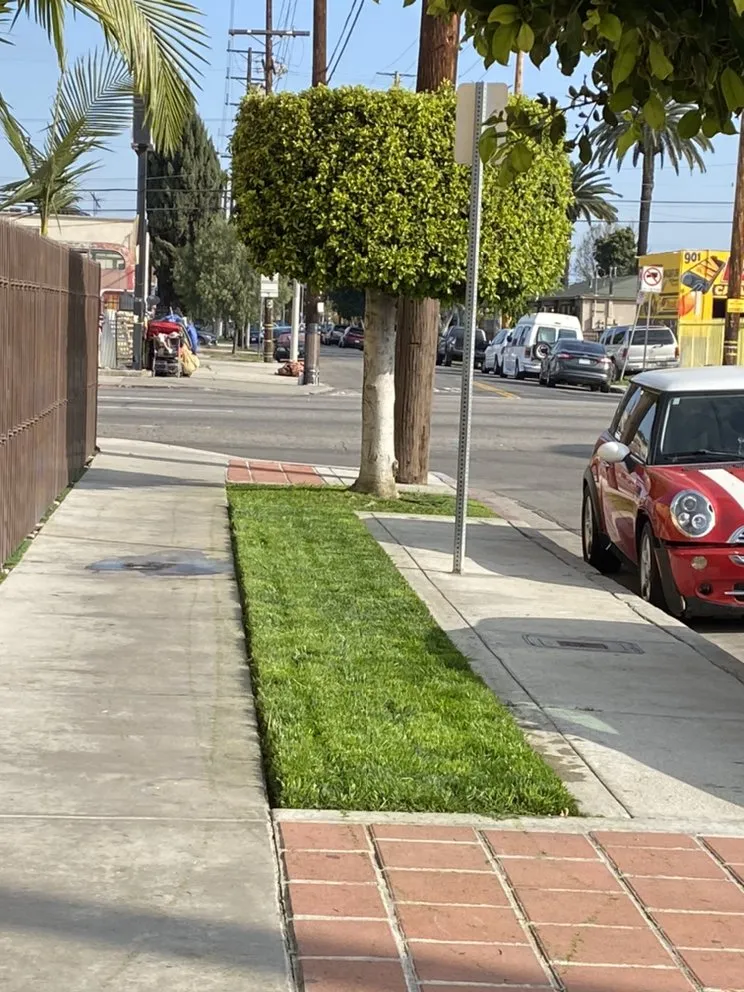 Trusted lawn care service for beautiful yards in Los Angeles, CA by Copados Landscaping