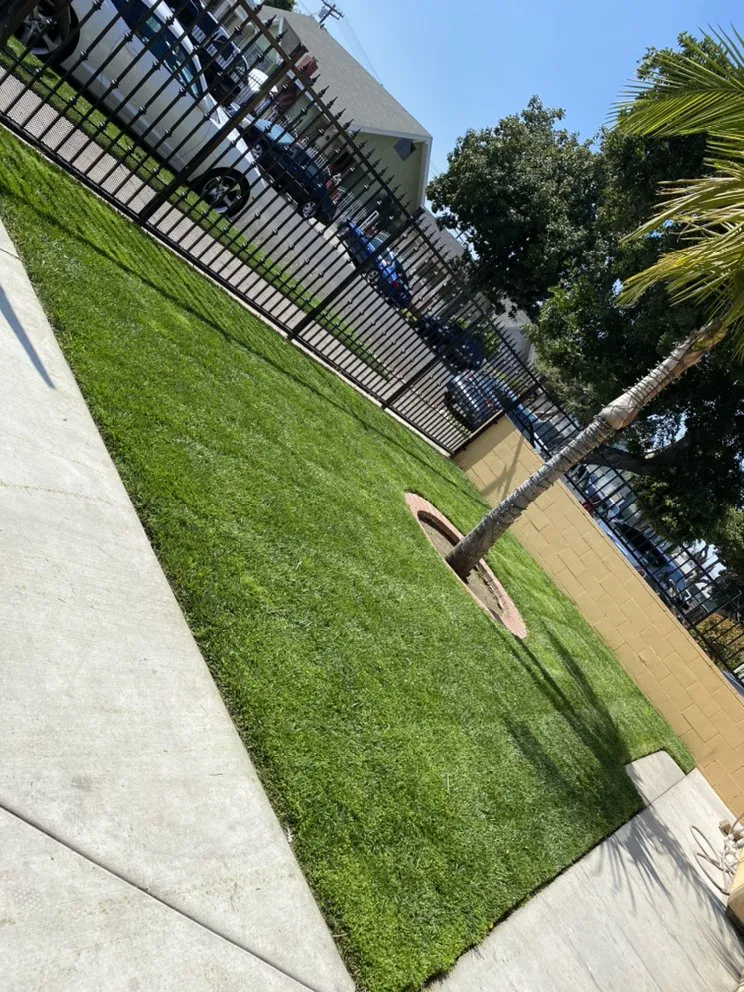 Reliable lawn mowing service in Los Angeles, CA - Copados Landscaping