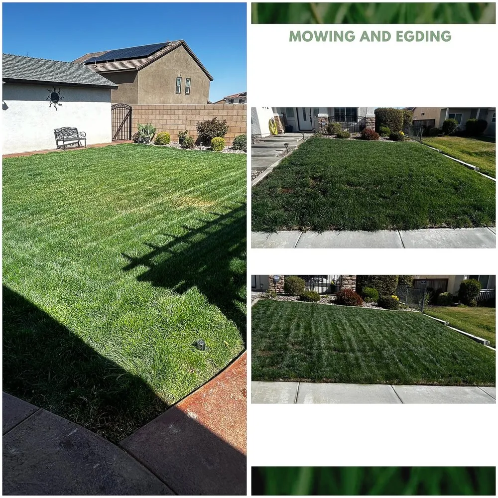 Professional landscaping services experts serving Victorville, CA - Copas Lawn Care