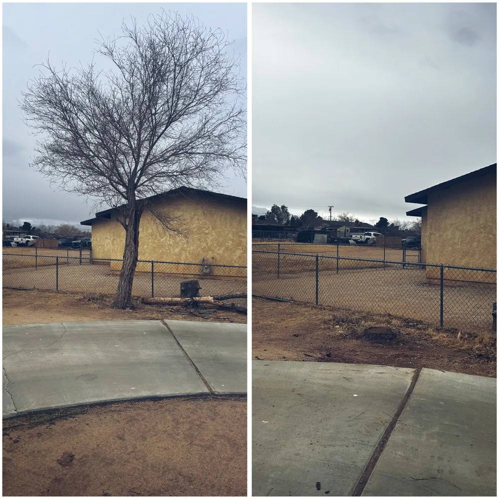 Professional landscaping services for year-round maintenance across Victorville, CA - Copas Lawn Care