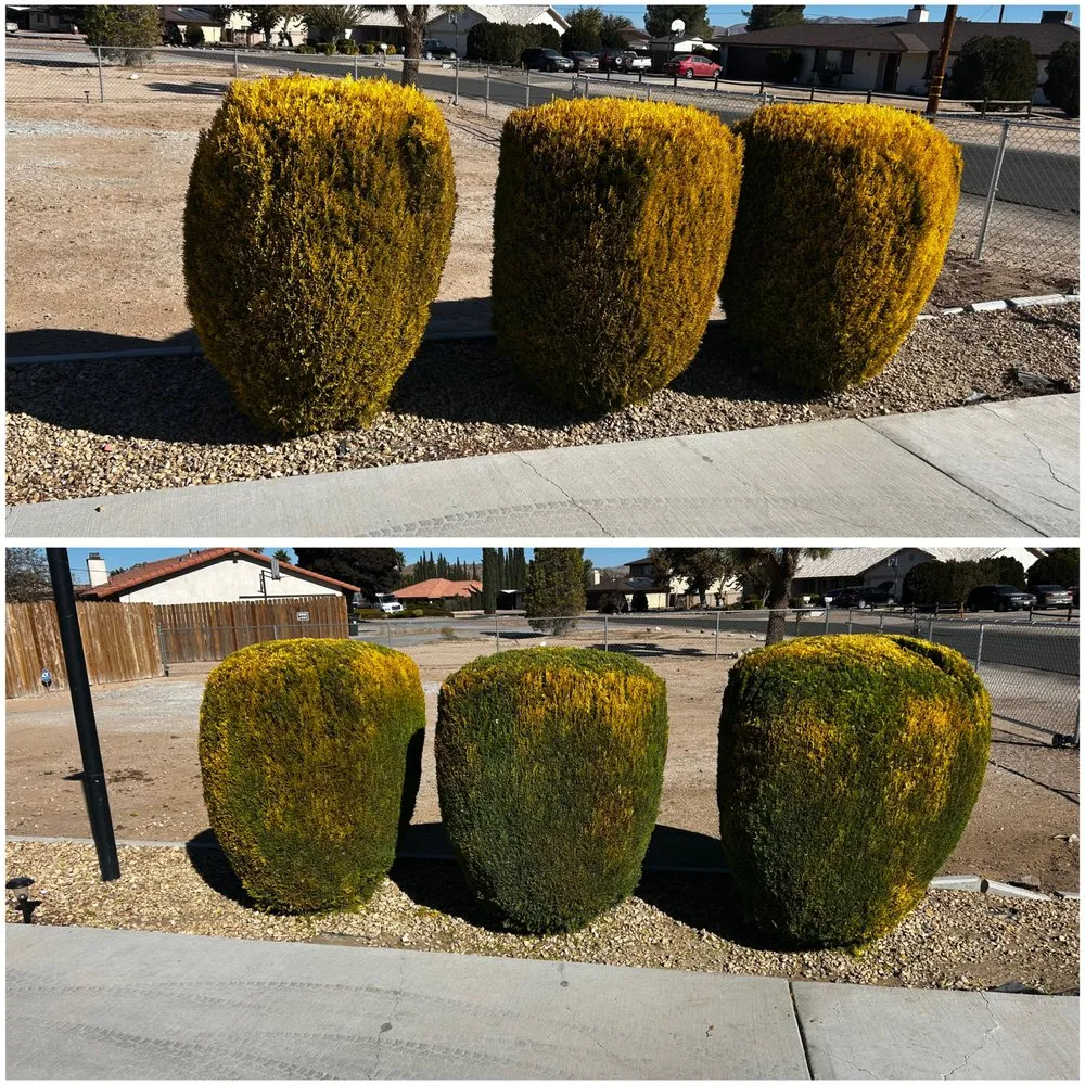 Trusted garden landscaping for beautiful yards in Victorville, CA by Copas Lawn Care