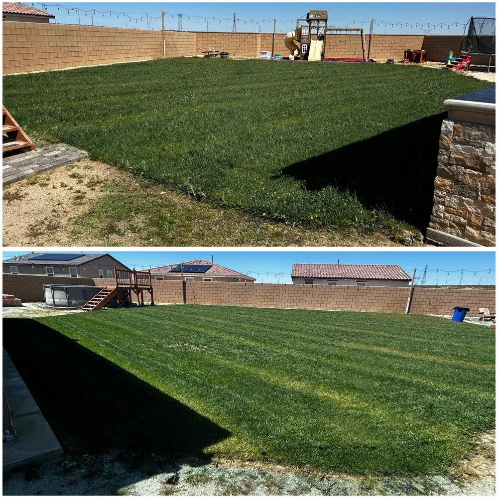 Local outdoor landscaping in Victorville, CA - Copas Lawn Care