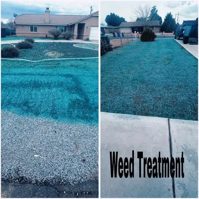 Copas Lawn Care Logo