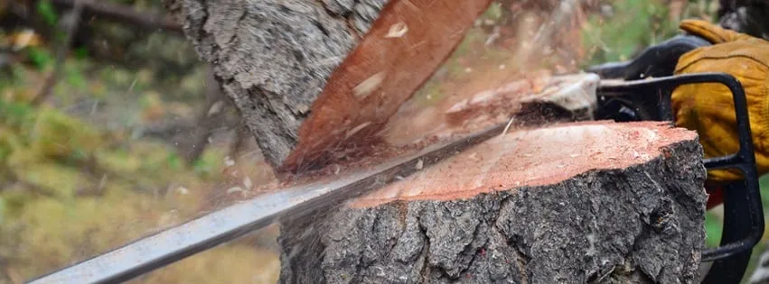 Expert lawn mowing service in Clyde, NC by Cope Tree Service & Mulch Delivery