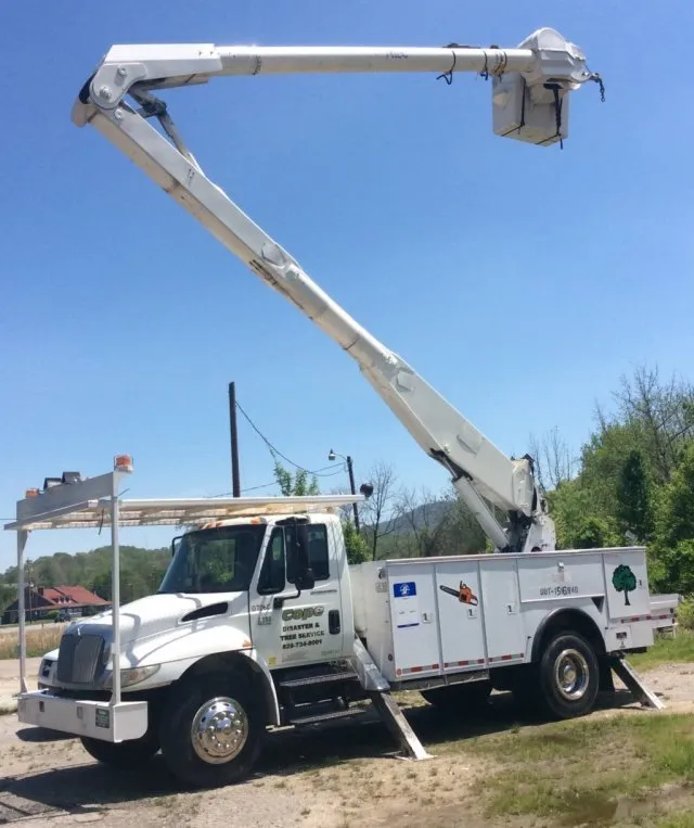 Top-rated landscaping services for residential properties in Clyde, NC by Cope Tree Service & Mulch Delivery