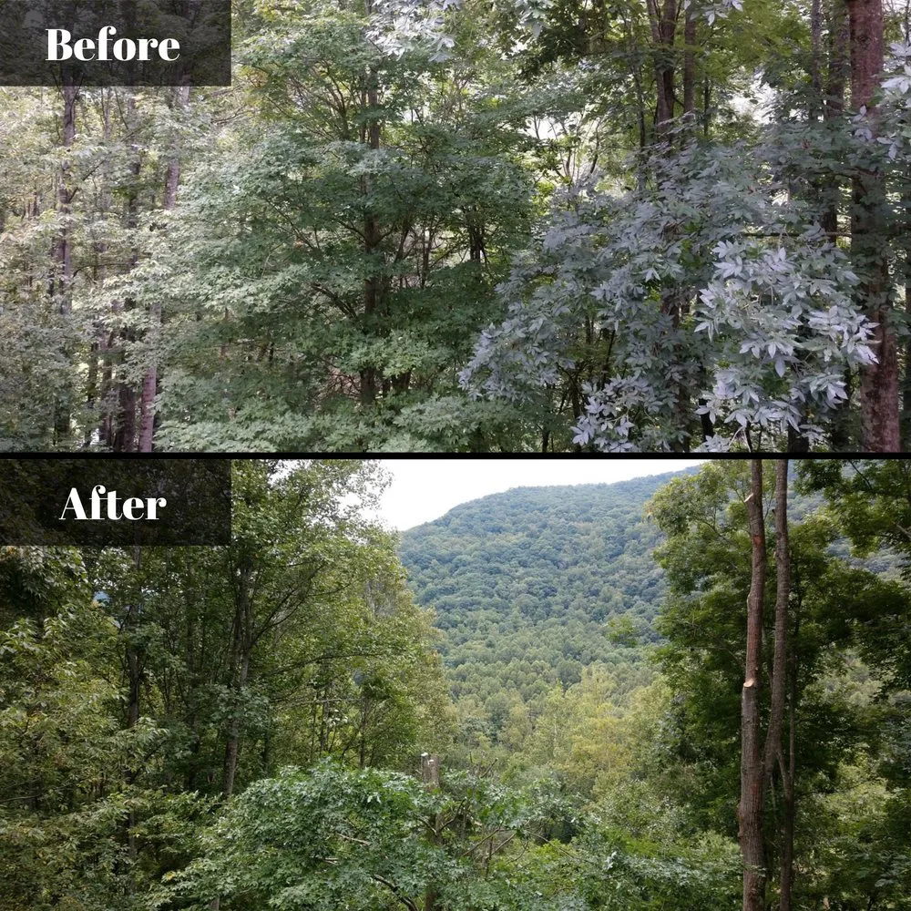 Trusted landscape installation for homes in Clyde, NC by Cope Tree Service & Mulch Delivery