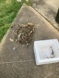 Professional garden landscaping experts serving Clyde, NC - Cope Tree Service & Mulch Delivery