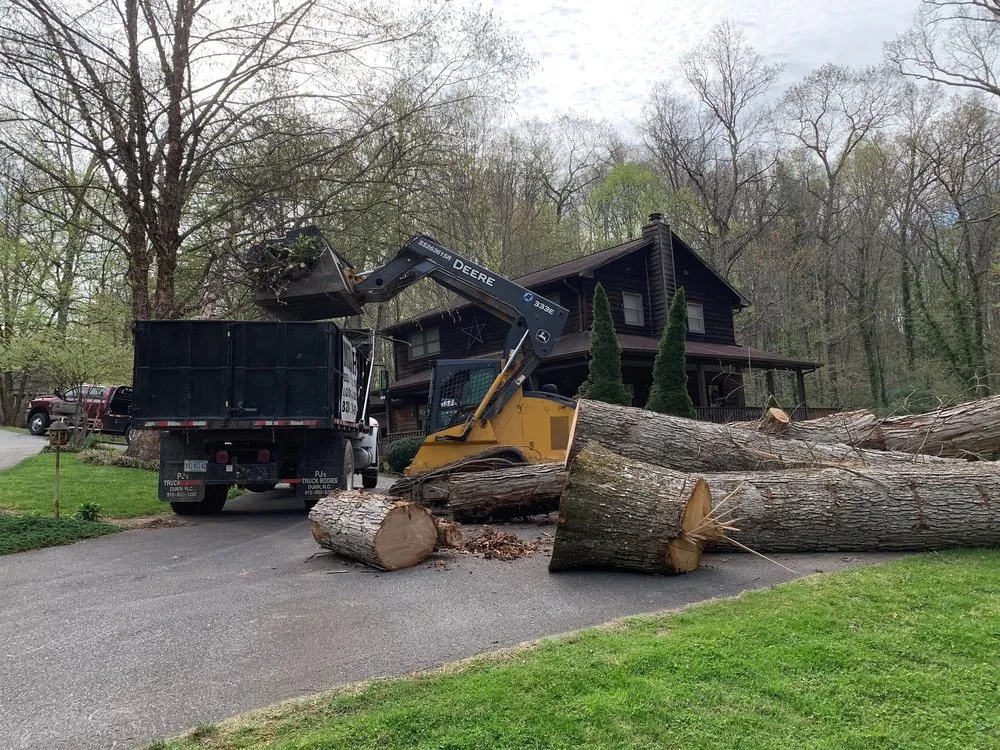 Affordable landscaping services experts serving Clyde, NC - Cope Tree Service & Mulch Delivery