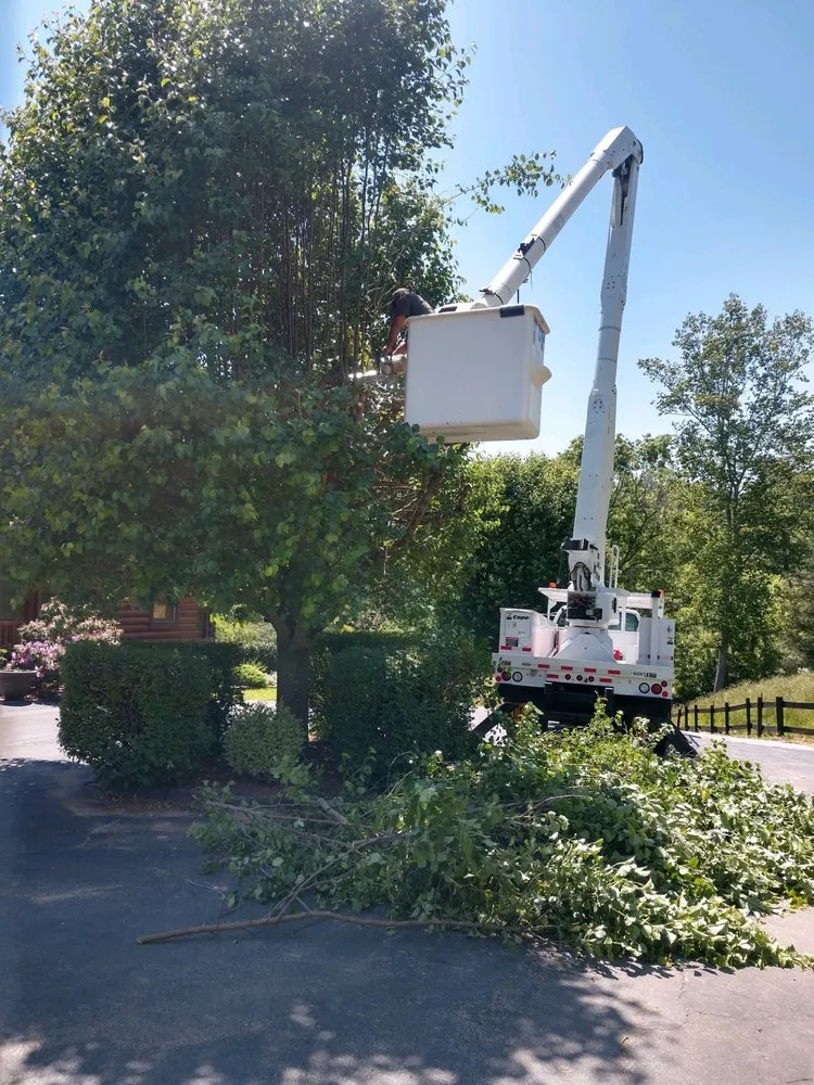 Custom residential landscaping for homes across Clyde, NC - Cope Tree Service & Mulch Delivery