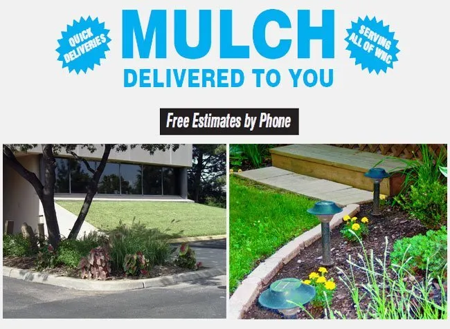 Top-rated yard cleanup service in Clyde, NC - Cope Tree Service & Mulch Delivery
