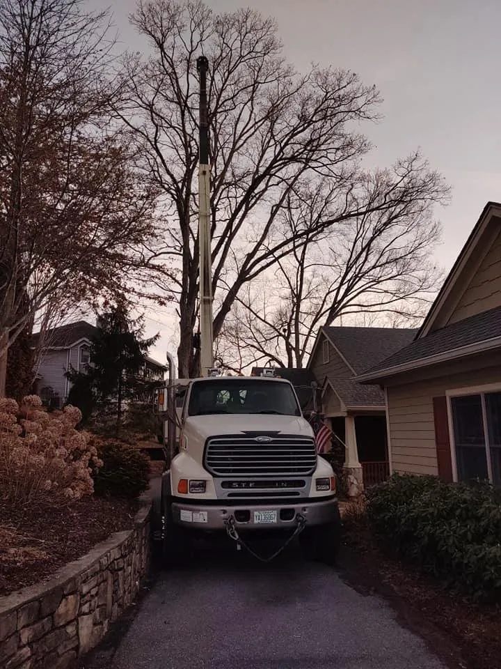 Reliable yard cleanup service for year-round maintenance across Clyde, NC - Cope Tree Service & Mulch Delivery