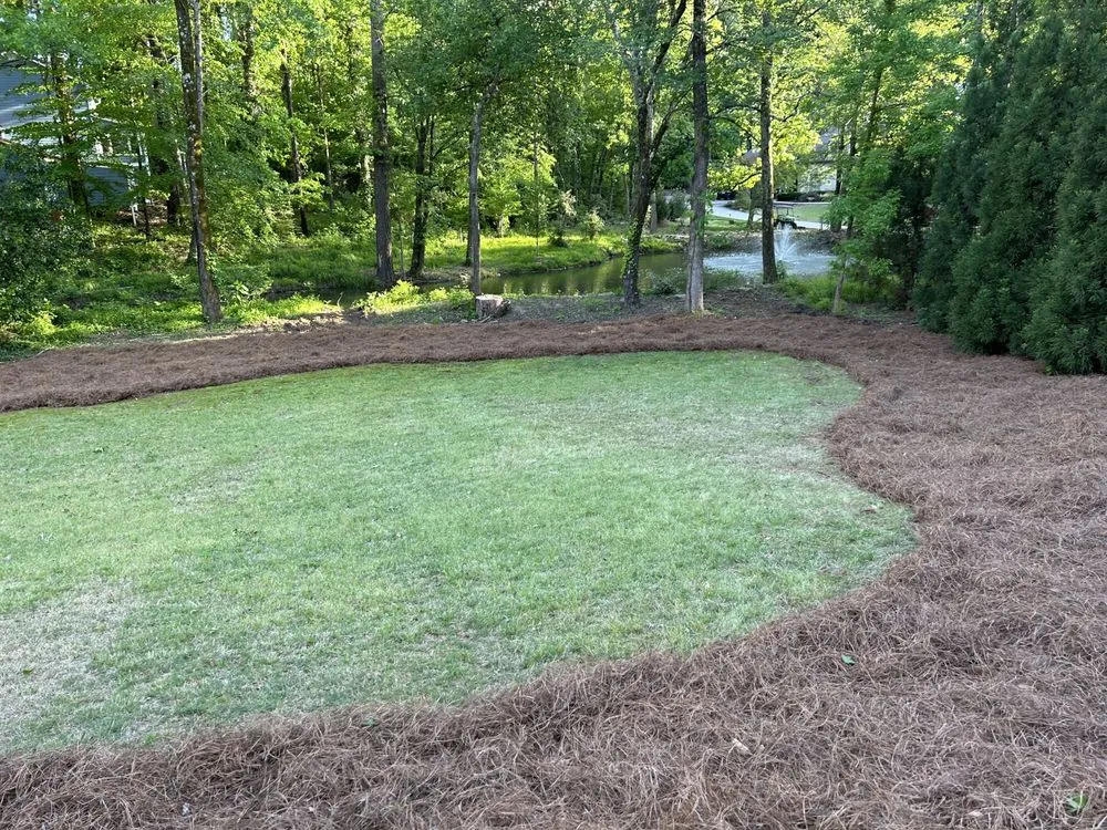 Reliable yard cleanup service in Conyers, GA - Copop