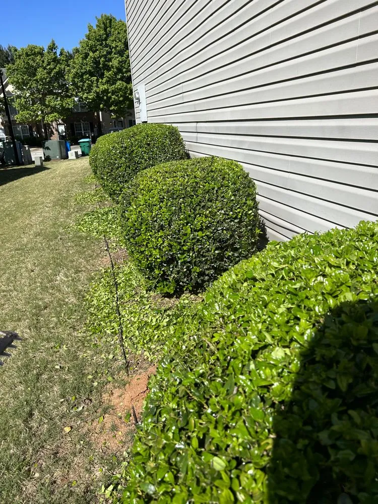 Trusted yard cleanup service in Conyers, GA - Copop