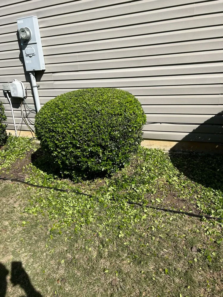 Affordable yard cleanup service for residential properties in Conyers, GA by Copop