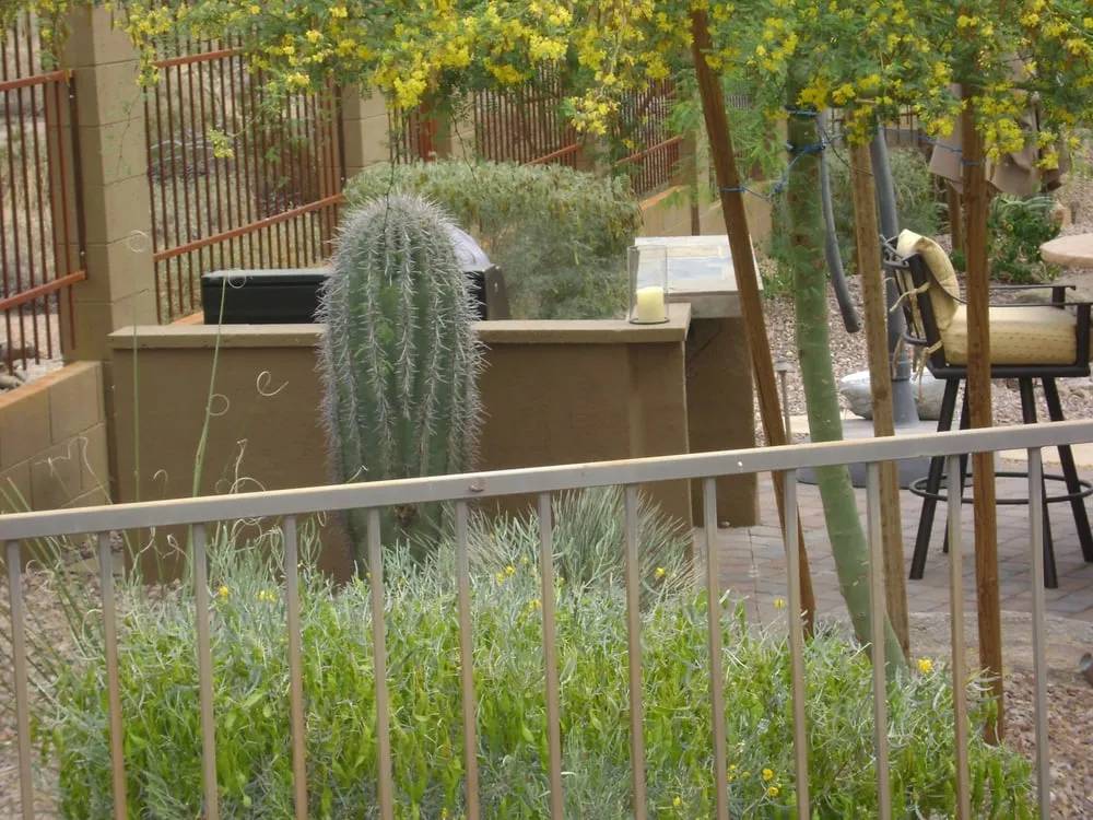 Top-rated garden landscaping experts serving Queen Creek, AZ - Copper Canyon Complete Care