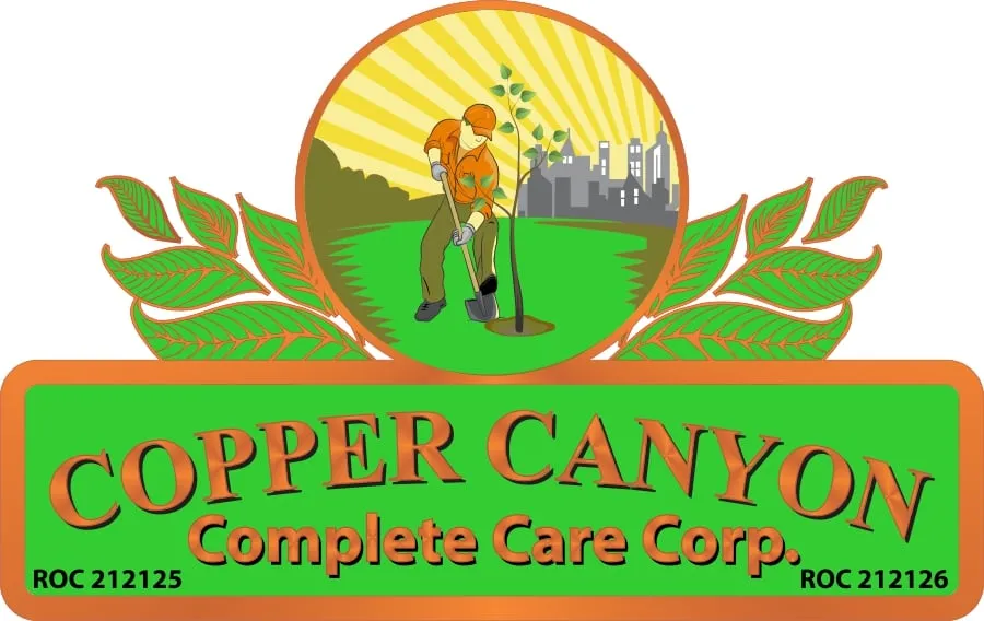 Expert lawn care service for homes in Queen Creek, AZ by Copper Canyon Complete Care