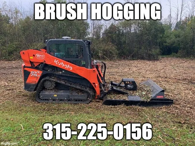 Professional yard cleanup service in Lee Center, NY by Copper City Landscaping