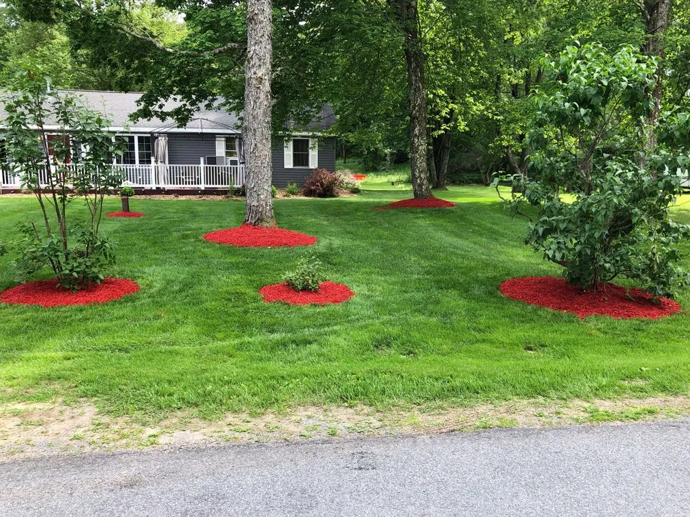 Custom yard cleanup service in Lee Center, NY - Copper City Landscaping