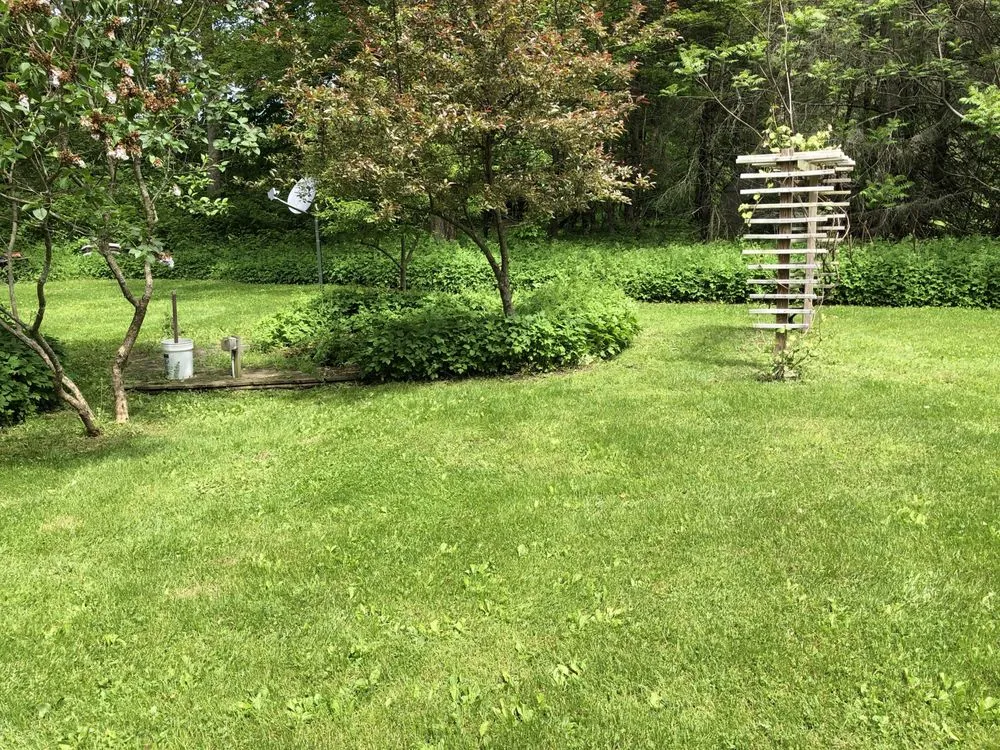 Professional yard cleanup service near you in Lee Center, NY by Copper City Landscaping