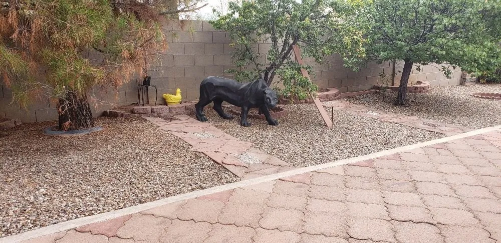 Affordable lawn mowing service for year-round maintenance in Sierra Vista, AZ by Copper City Maintenance