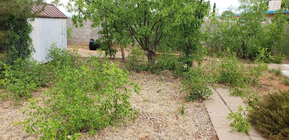 Trusted residential landscaping for residential properties across Sierra Vista, AZ - Copper City Maintenance