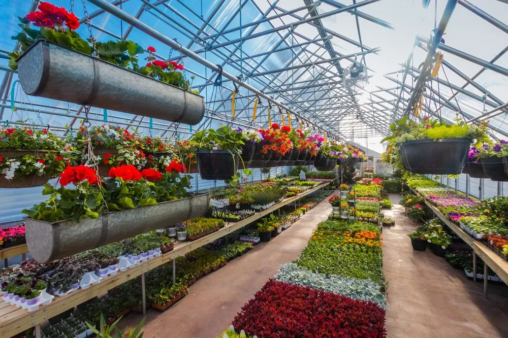 Top-rated yard maintenance in Nisswa, MN - Copper Creek