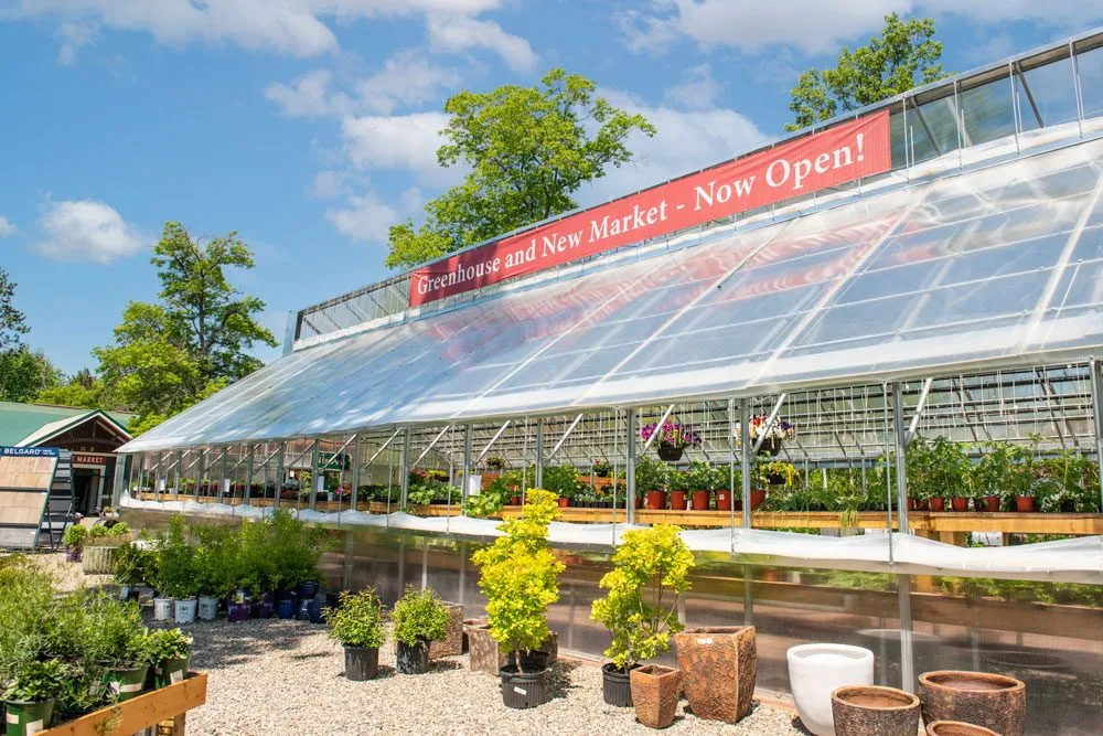 Expert yard cleanup service with custom design in Nisswa, MN by Copper Creek