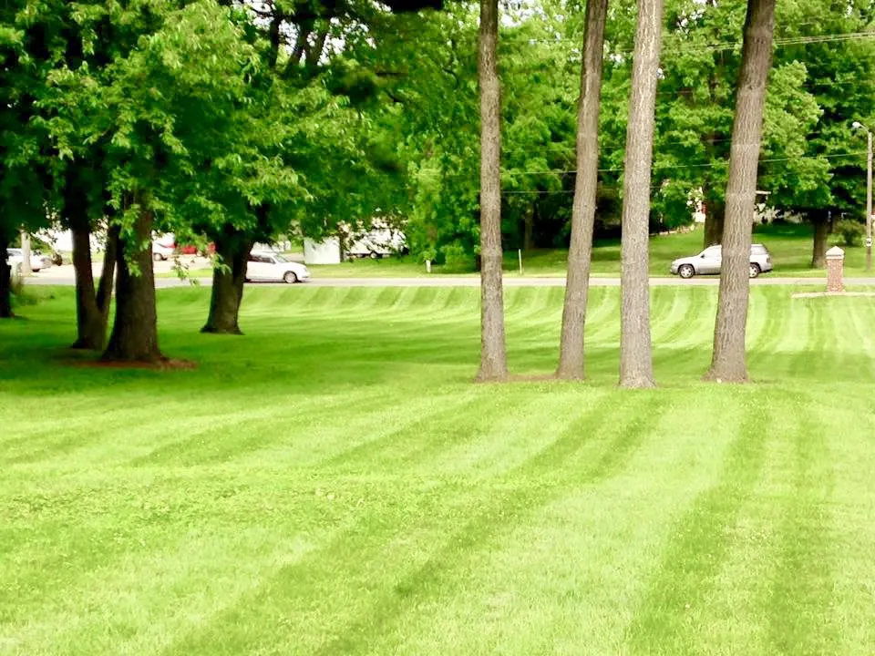 Custom yard cleanup service experts serving Knox, IN - Copper Lawn Services