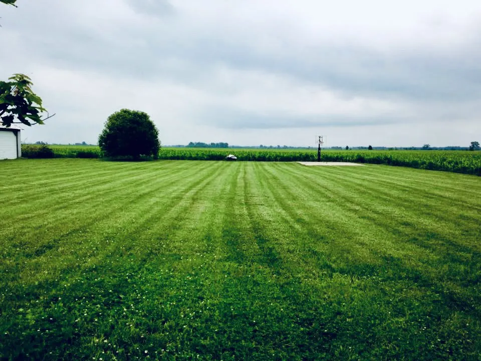 Professional lawn mowing service in Knox, IN by Copper Lawn Services