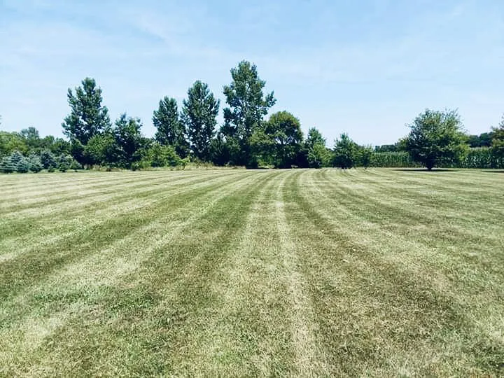 Reliable landscape design for homes in Knox, IN by Copper Lawn Services