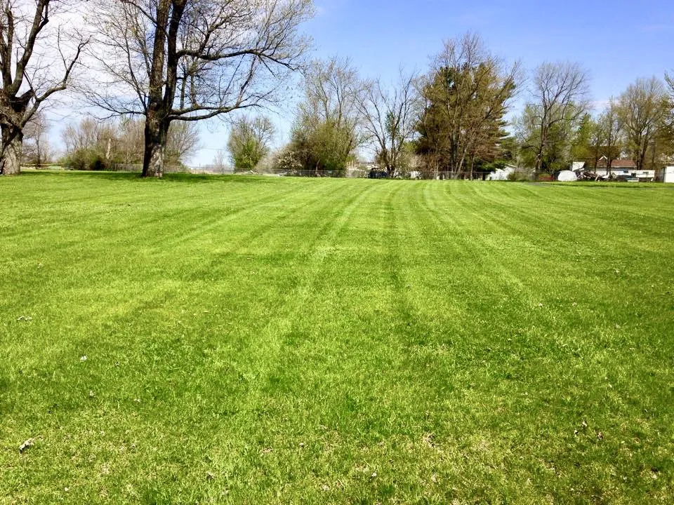 Reliable yard maintenance experts serving Knox, IN - Copper Lawn Services