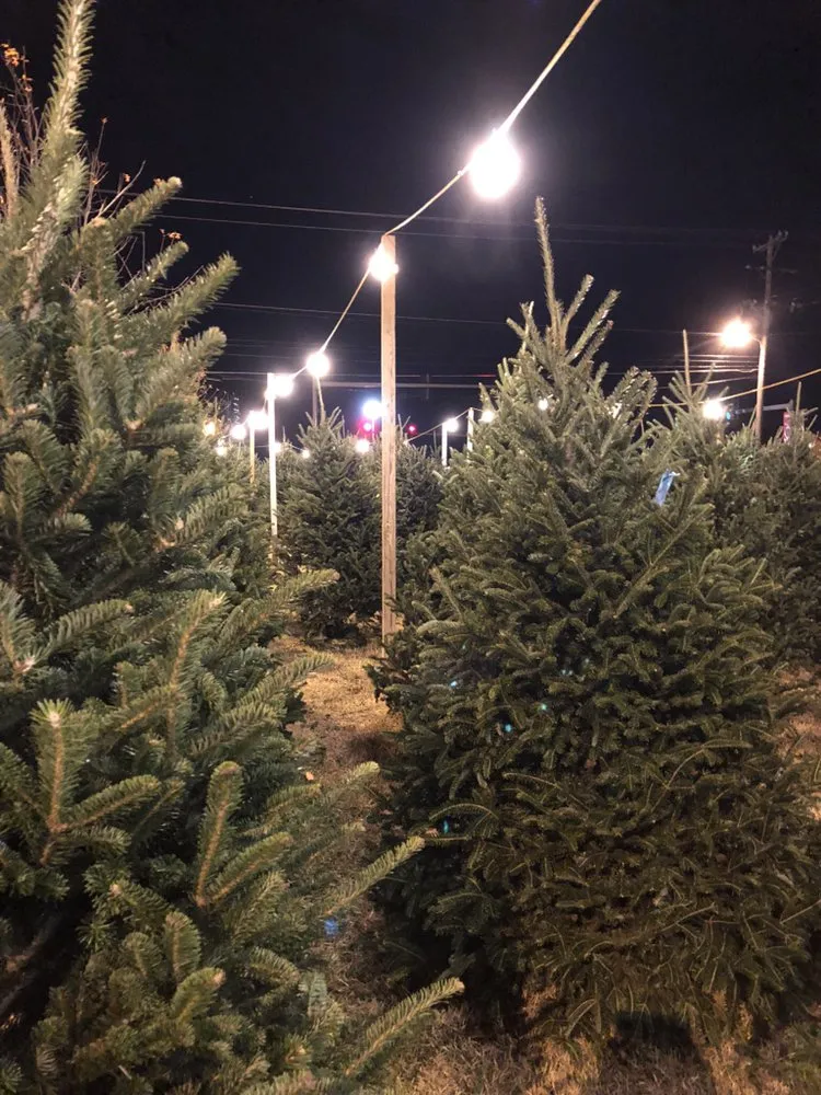 Affordable yard maintenance for beautiful yards in Brentwood, TN by Copper Lining Landscapes