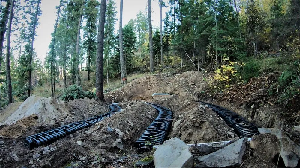 Expert yard cleanup service in Washington, UT - Copper Ridge Enterprises